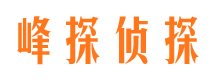 长葛侦探